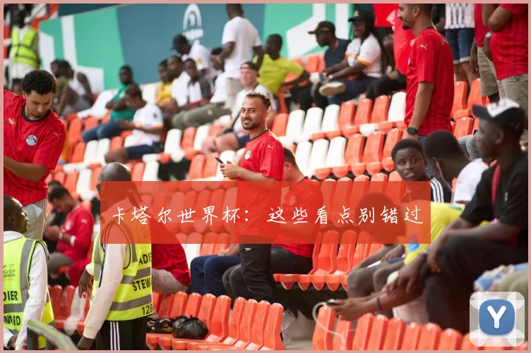 卡塔尔世界杯：这些看点别错过
