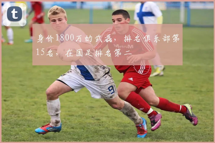 身价1800万的武磊，排名俱乐部第15名，在国足排名第二